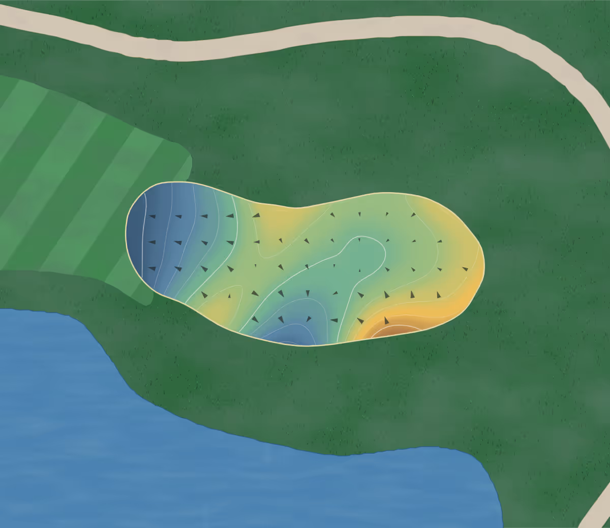 Green contour map of Century Pines in Troy, Canada — 144 elevation contours at a 8-centimeter interval with fall-line arrows, traced from 1-meter lidar