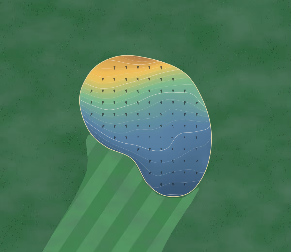 Green contour map of Chalet Hills in Cary, Illinois — 207 elevation contours at a 3-inch interval with fall-line arrows, traced from 1-meter lidar