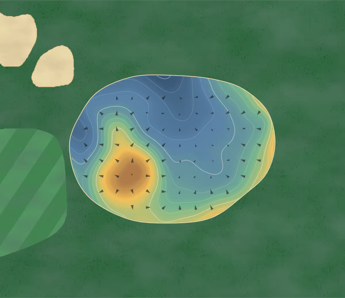 Green contour map of Chamberlain Park in Mount Albert, New Zealand — 200 elevation contours at a 8-centimeter interval with fall-line arrows, traced from 1-meter lidar