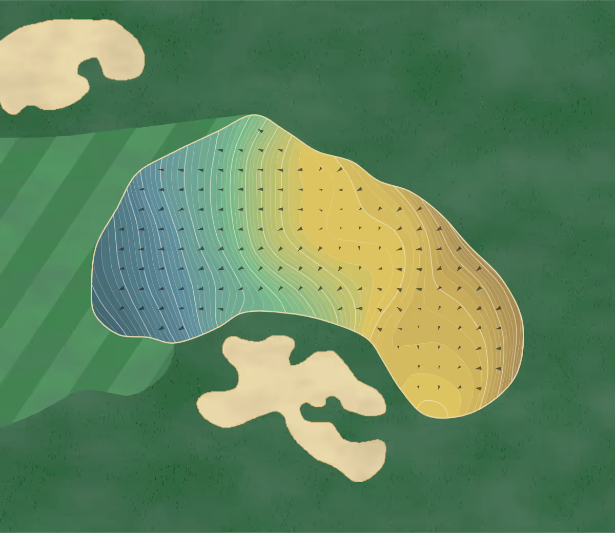Green contour map of Champion Hills in Hendersonville, North Carolina — 273 elevation contours at a 3-inch interval with fall-line arrows, traced from 1-meter lidar