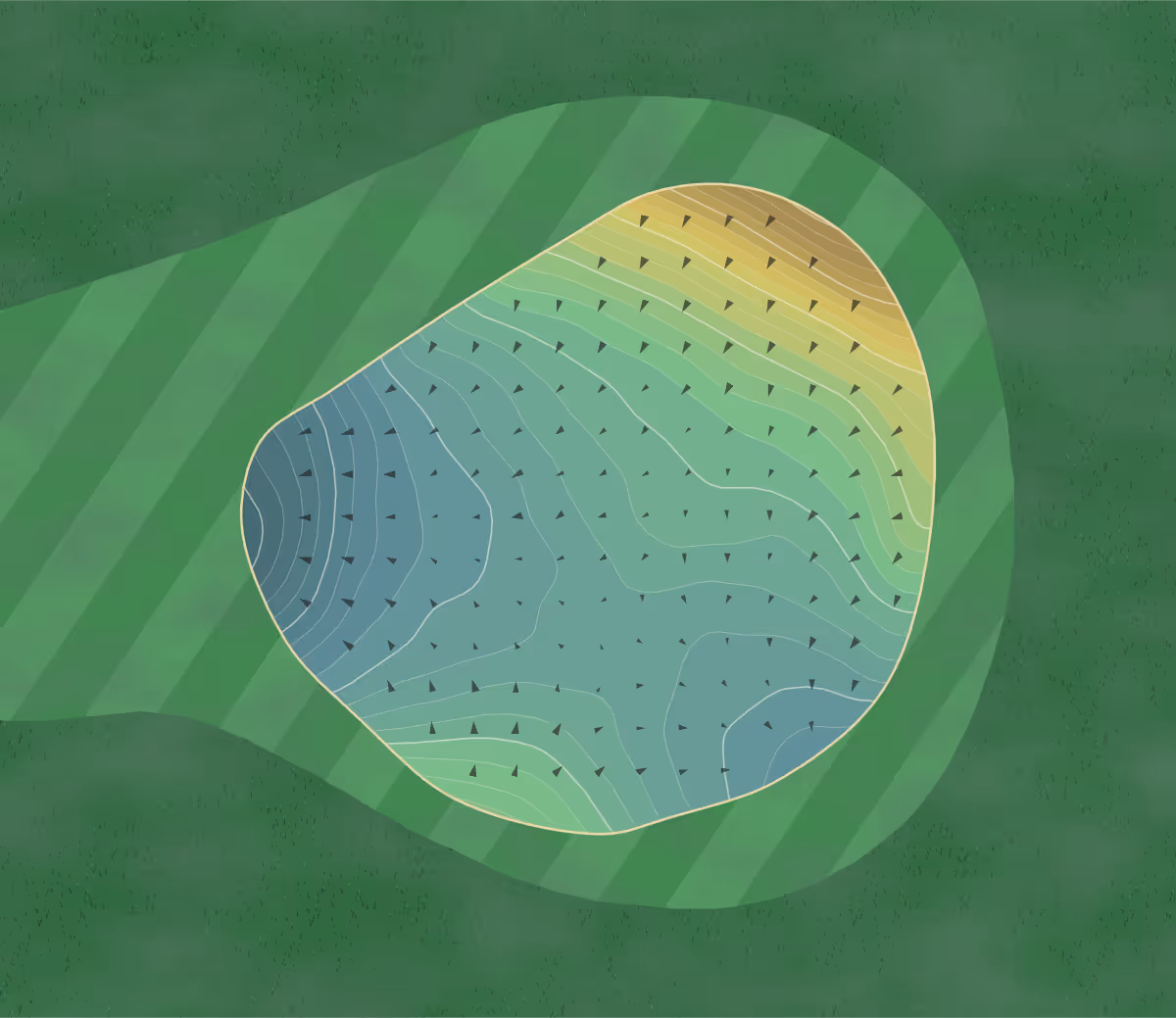 Green contour map of Champions Retreat in Evans, Georgia — 361 elevation contours at a 3-inch interval with fall-line arrows, traced from 1-meter lidar