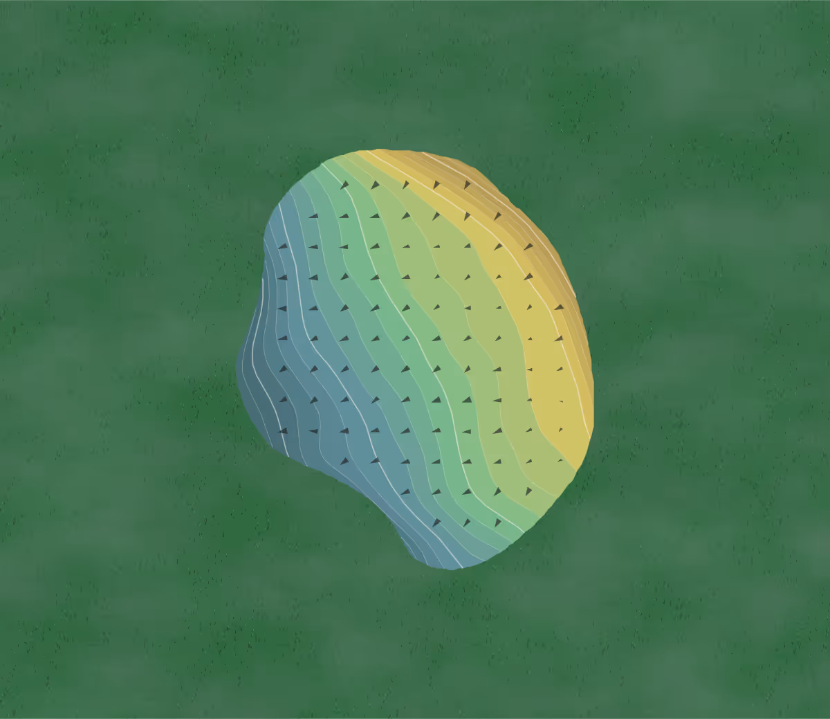 Green contour map of Chase Hammond in Muskegon, Michigan — 70 elevation contours at a 3-inch interval with fall-line arrows, traced from 1-meter lidar