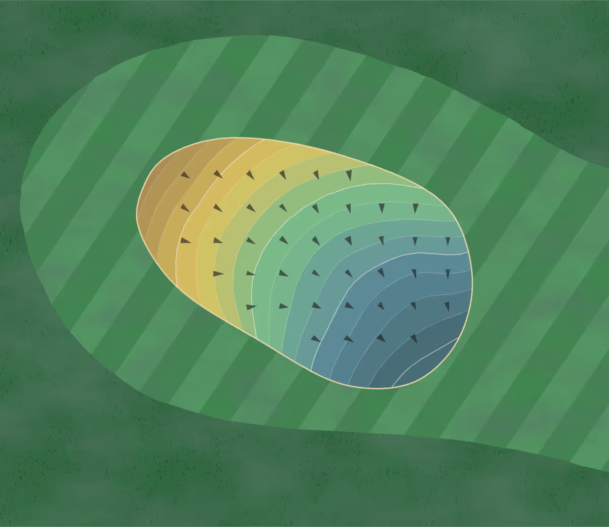 Green contour map of Chastain Park in Atlanta, Georgia — 173 elevation contours at a 3-inch interval with fall-line arrows, traced from 1-meter lidar