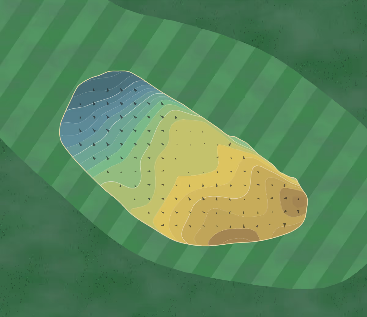 Green contour map of Chechessee Creek in Okatie, South Carolina — 267 elevation contours at a 3-inch interval with fall-line arrows, traced from 1-meter lidar