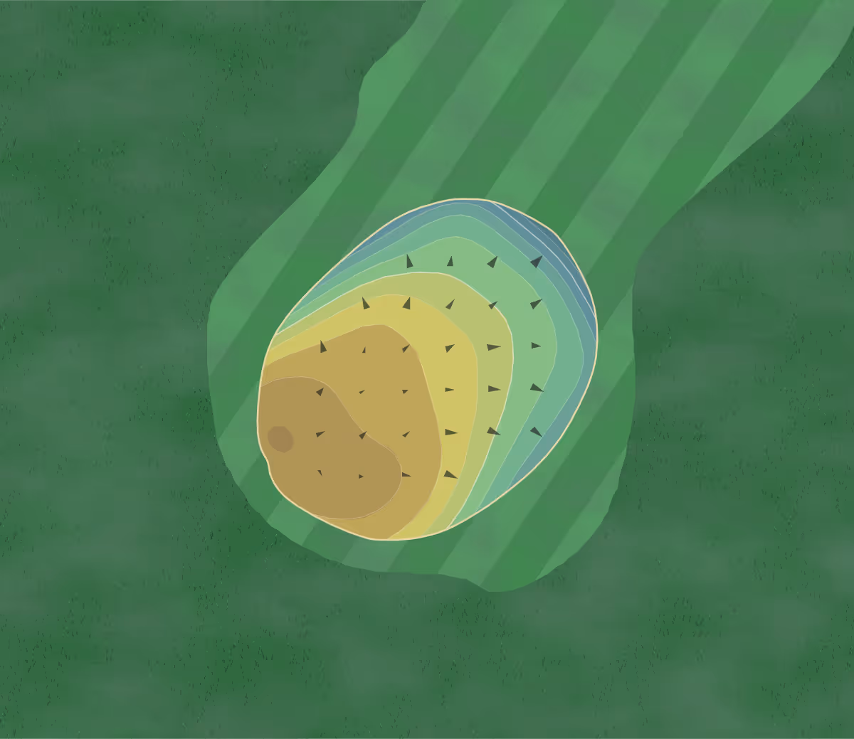 Green contour map of Chelmsford CC in Chelmsford, Massachusetts — 83 elevation contours at a 3-inch interval with fall-line arrows, traced from 1-meter lidar