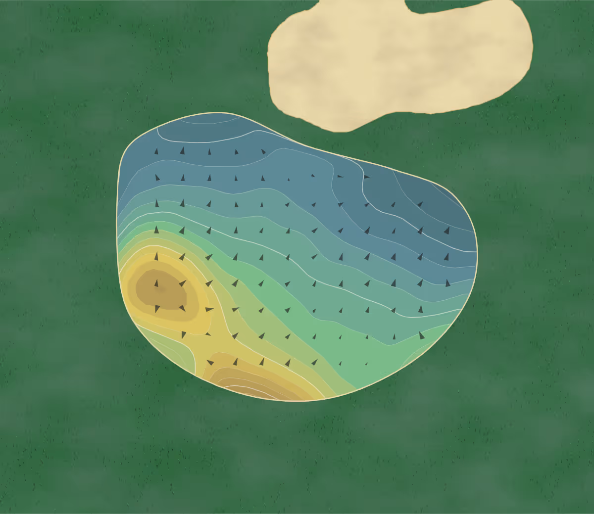 Green contour map of Cheraw State Park in Cheraw, South Carolina — 77 elevation contours at a 3-inch interval with fall-line arrows, traced from 1-meter lidar