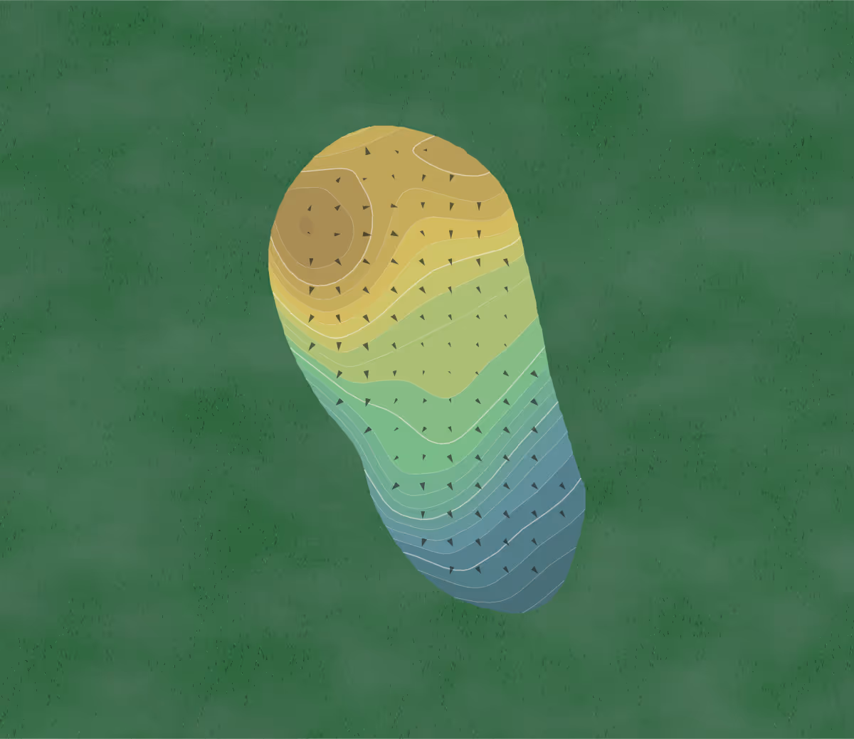 Green contour map of Cherokee National in Gaffney, South Carolina — 148 elevation contours at a 3-inch interval with fall-line arrows, traced from 1-meter lidar