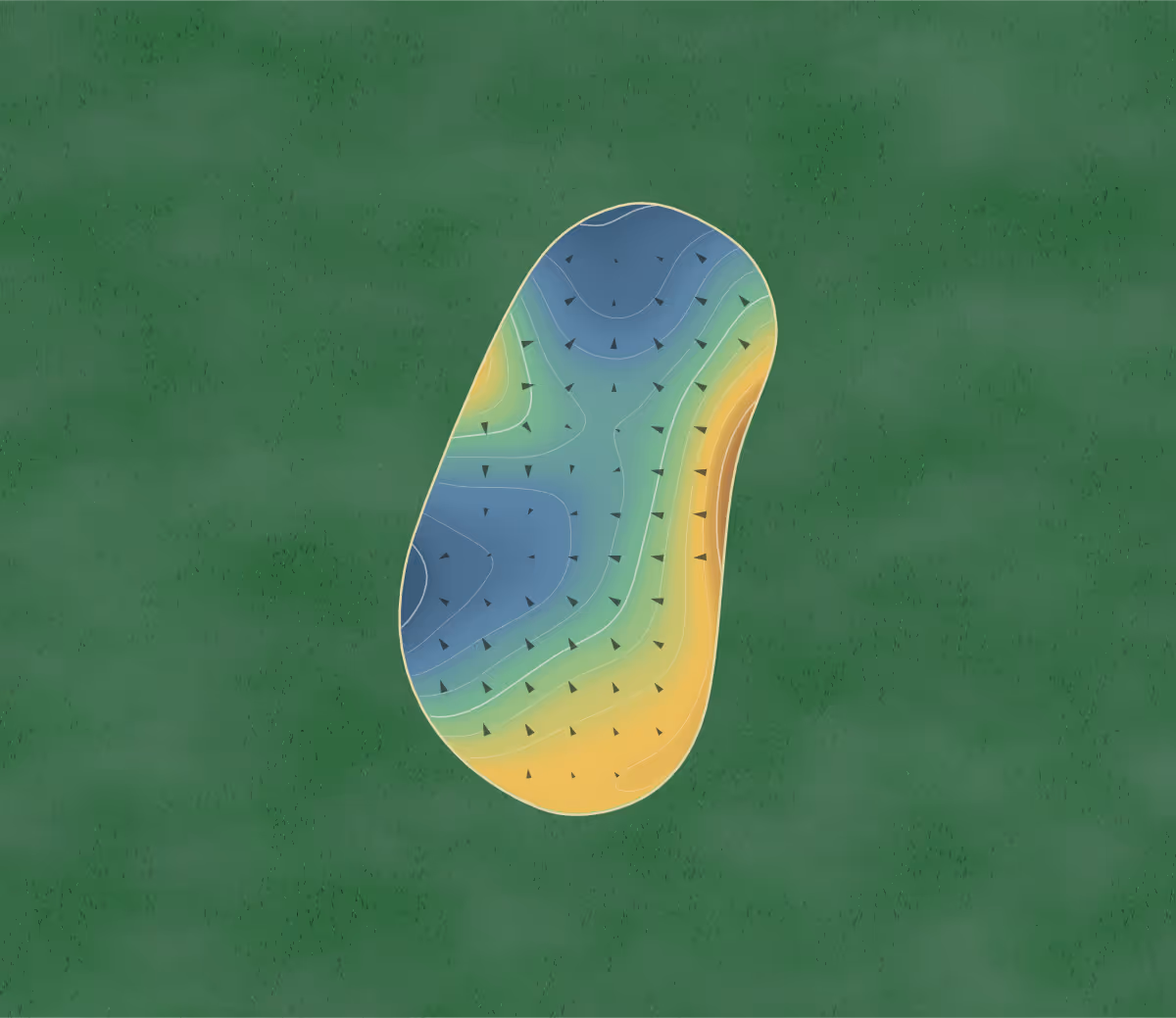 Green contour map of Chesapeake Run in North Judson, Indiana: 199 elevation contours at a 3-inch interval with fall-line arrows, traced from 1-meter lidar