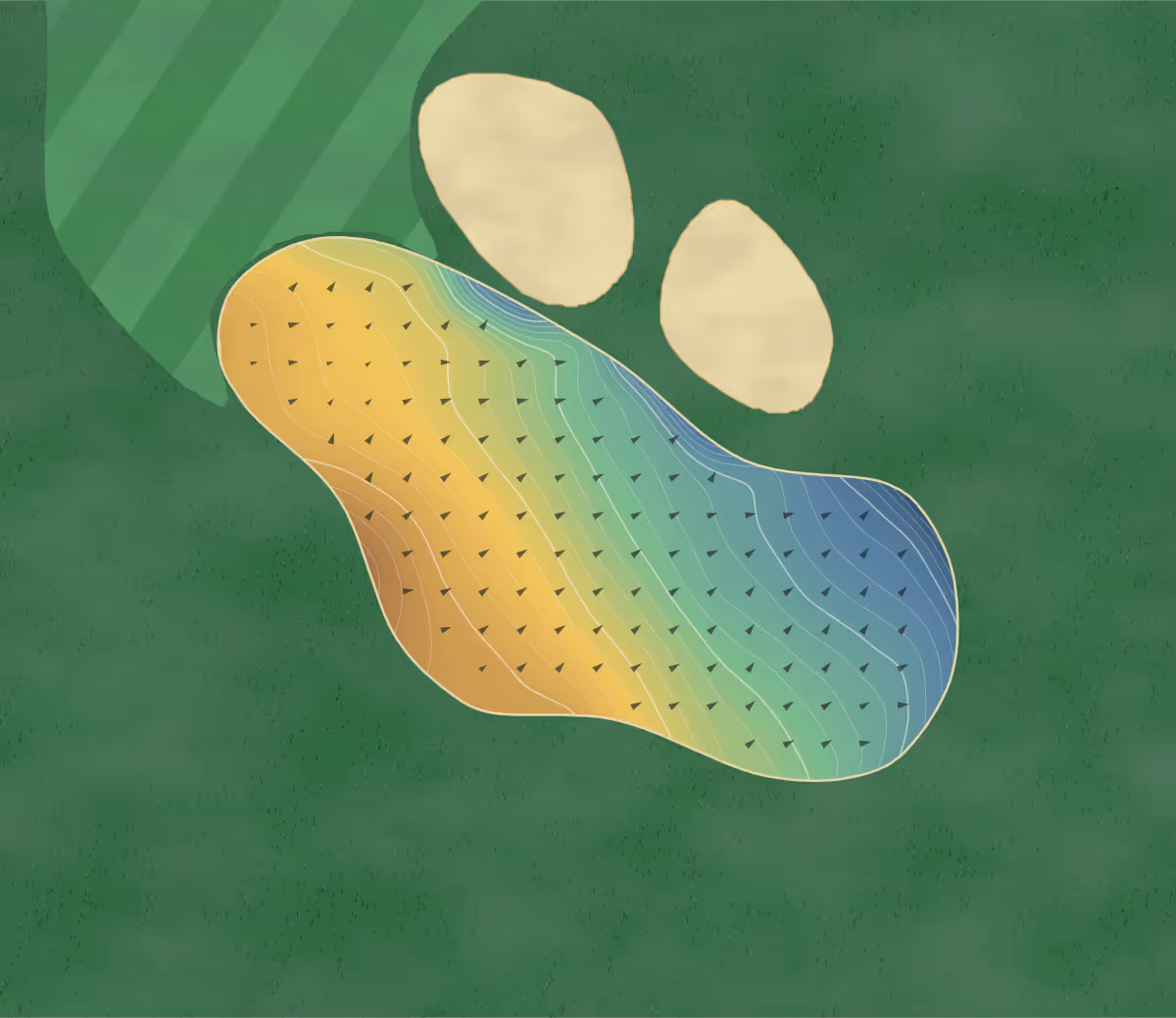 Green contour map of Chestfield in Whitstable, England — 205 elevation contours at a 8-centimeter interval with fall-line arrows, traced from 1-meter lidar