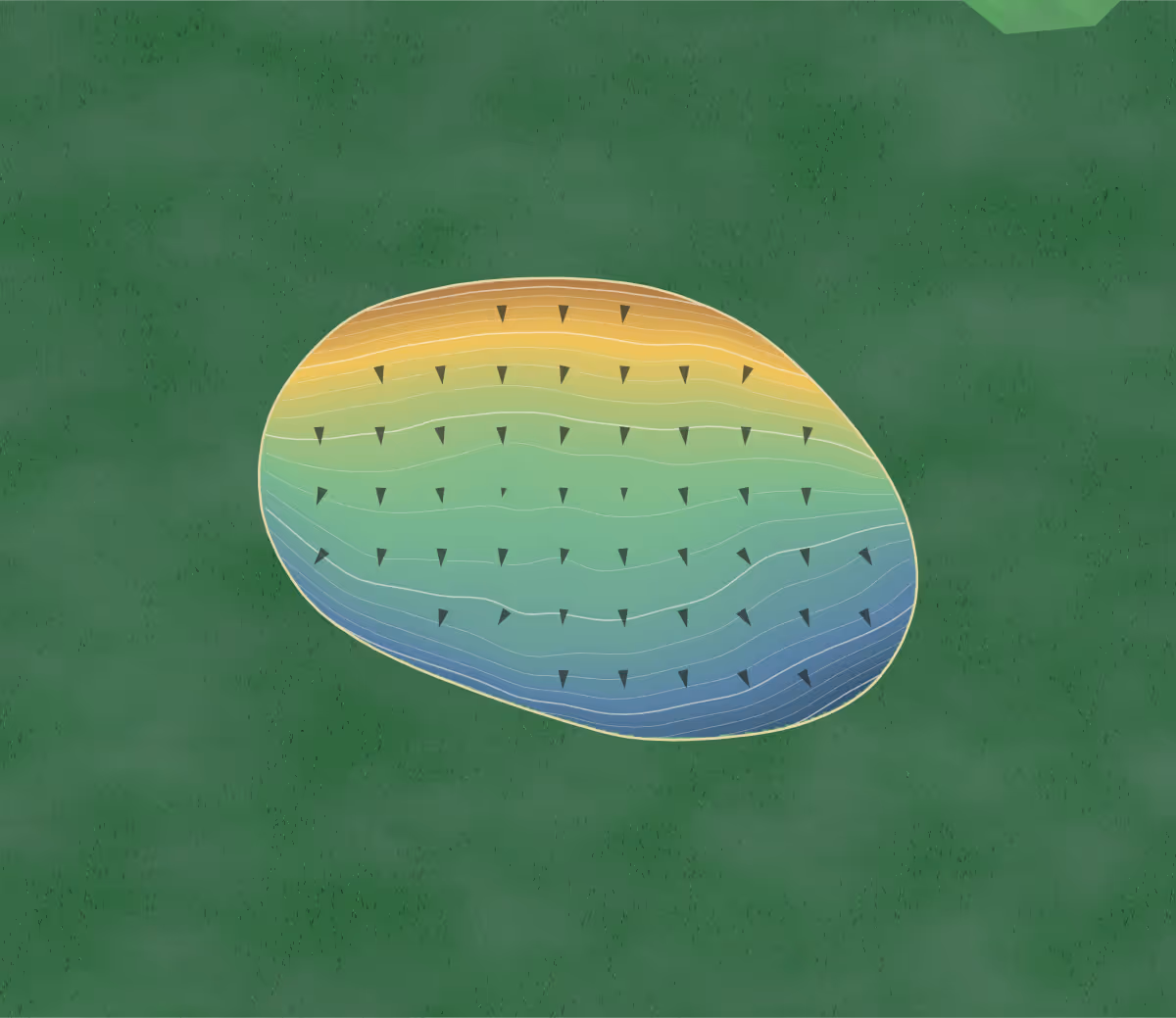 Green contour map of Chicora in Dunn, North Carolina: 207 elevation contours at a 3-inch interval with fall-line arrows, traced from 1-meter lidar