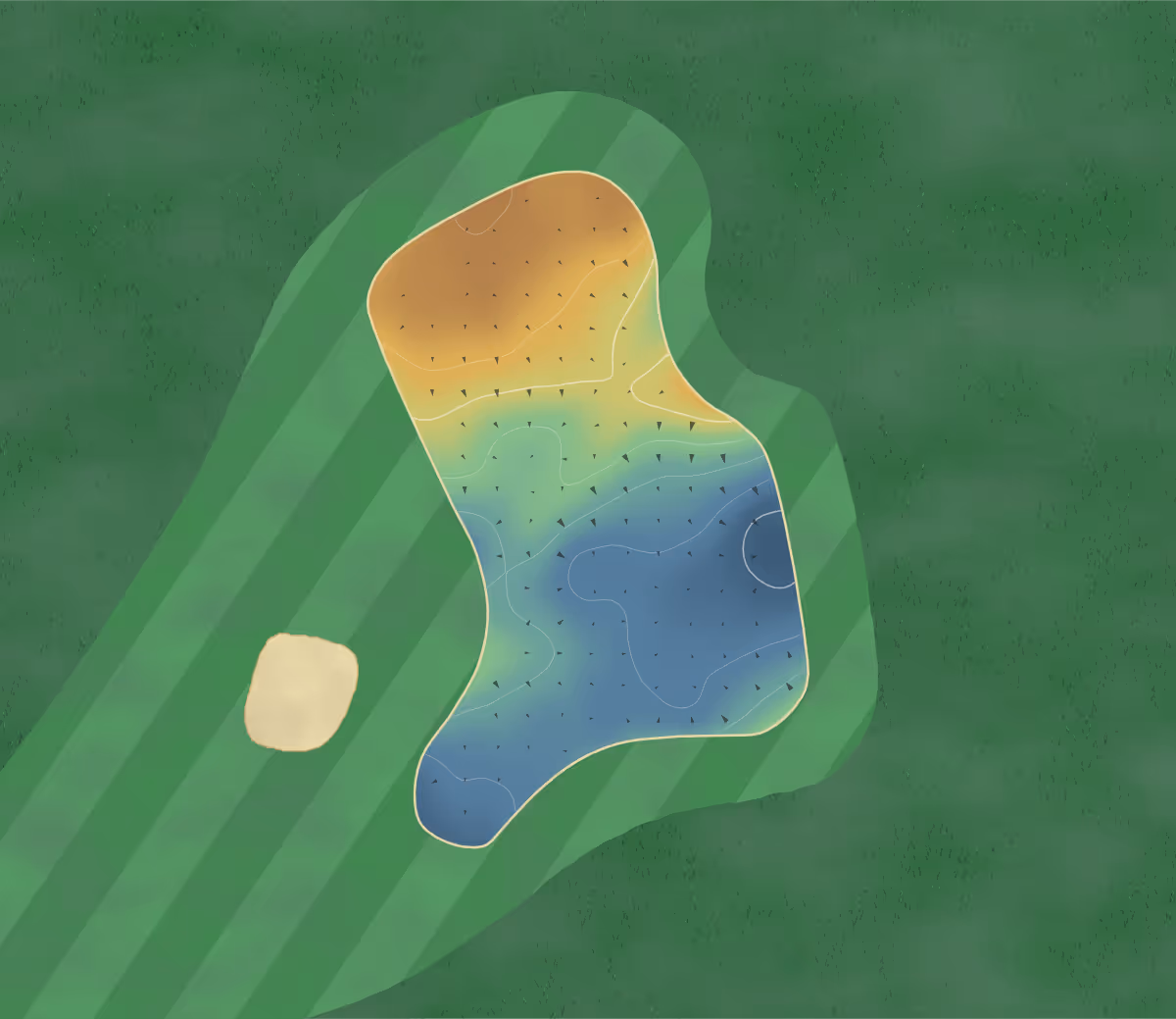 Green contour map of Chisholm Park in Dunedin, New Zealand — 137 elevation contours at a 8-centimeter interval with fall-line arrows, traced from 1-meter lidar