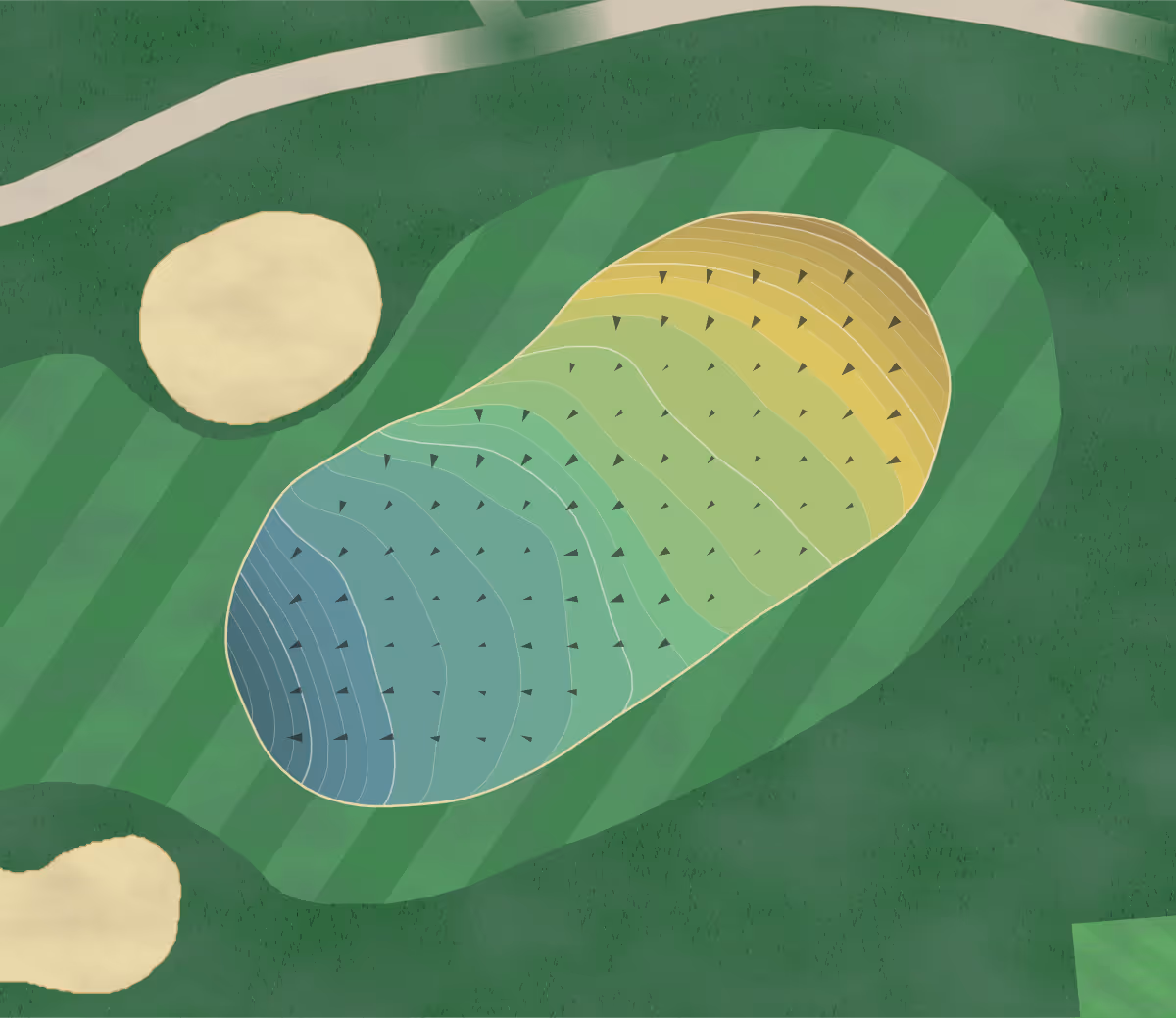 Green contour map of City Park in Denver, Colorado — 264 elevation contours at a 3-inch interval with fall-line arrows, traced from 1-meter lidar