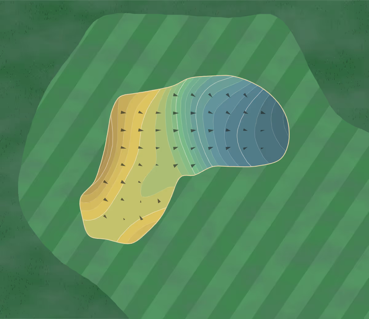 Green contour map of Clarksville CC in Clarksville, Tennessee — 261 elevation contours at a 3-inch interval with fall-line arrows, traced from 1-meter lidar