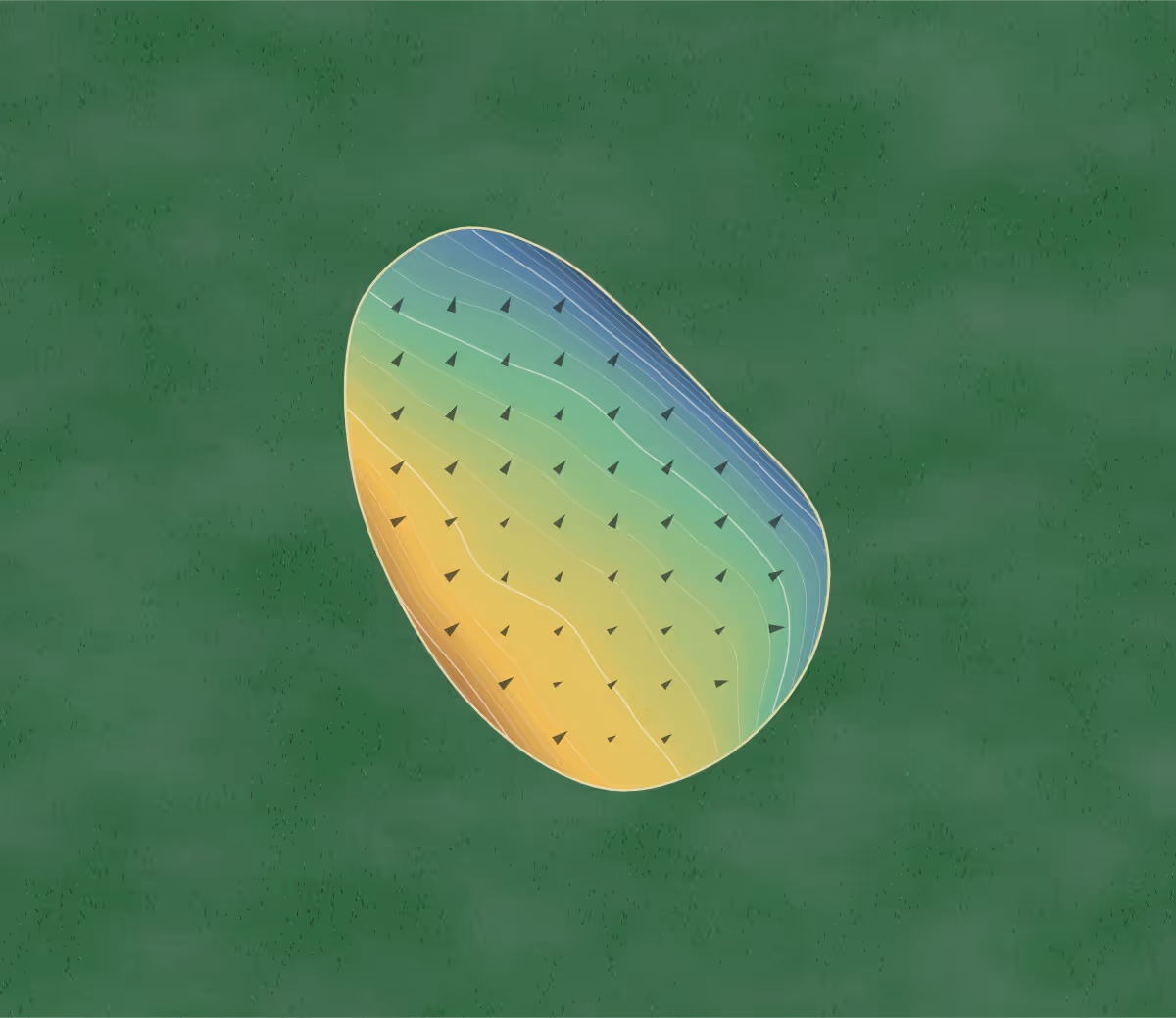 Green contour map of Clear Creek in Boaz, Alabama: 113 elevation contours at a 3-inch interval with fall-line arrows, traced from 1-meter lidar