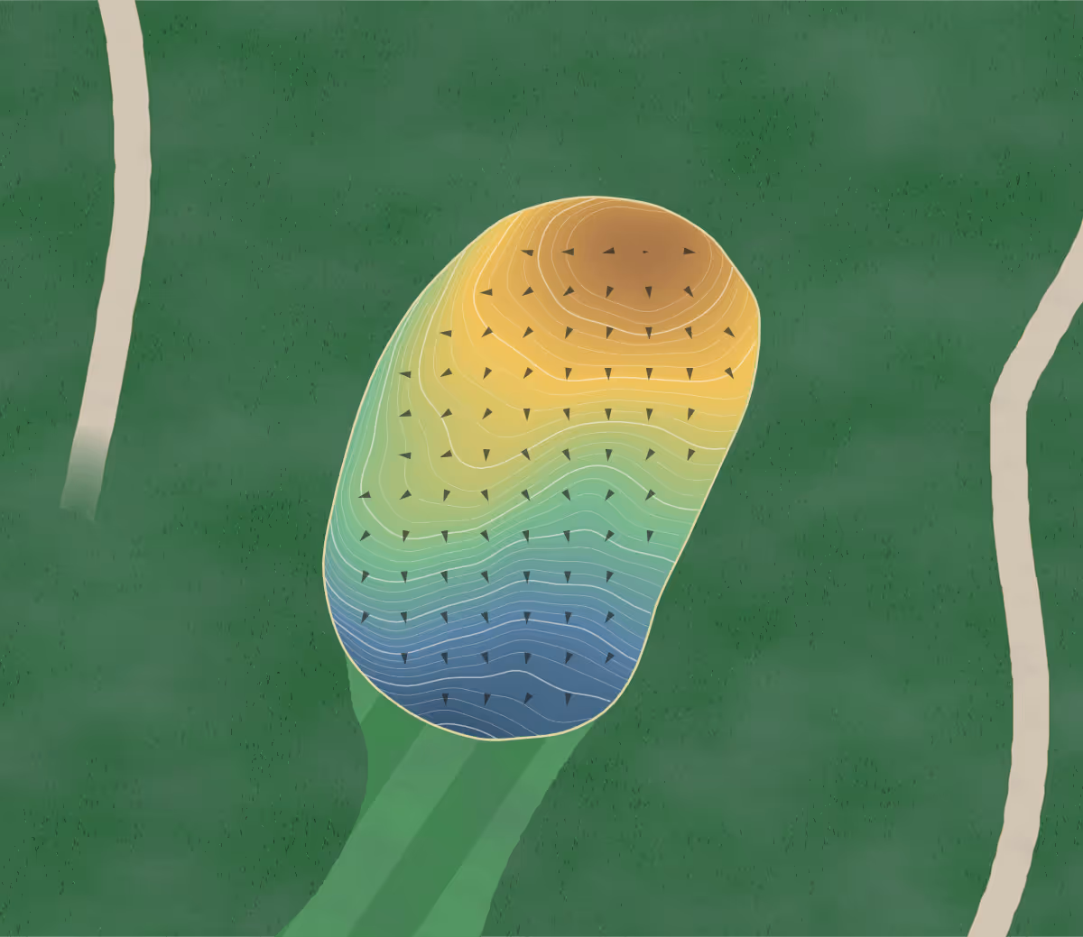 Green contour map of Clio Cc in Clio, Michigan — 450 elevation contours at a 3-inch interval with fall-line arrows, traced from 1-meter lidar