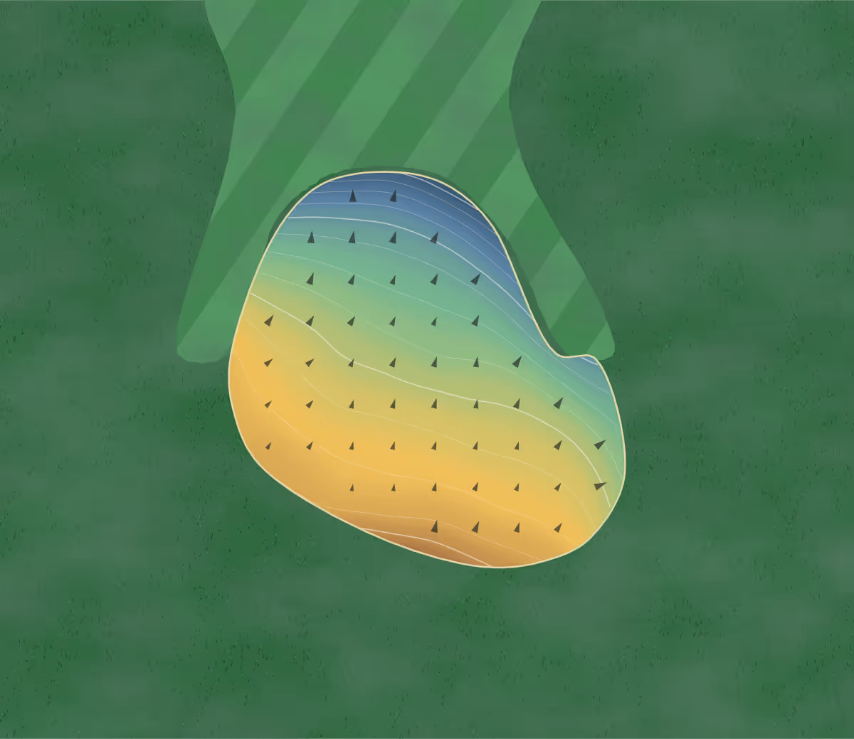 Green contour map of Lake Sinclair in Milledgeville, Georgia: 214 elevation contours at a 3-inch interval with fall-line arrows, traced from 1-meter lidar