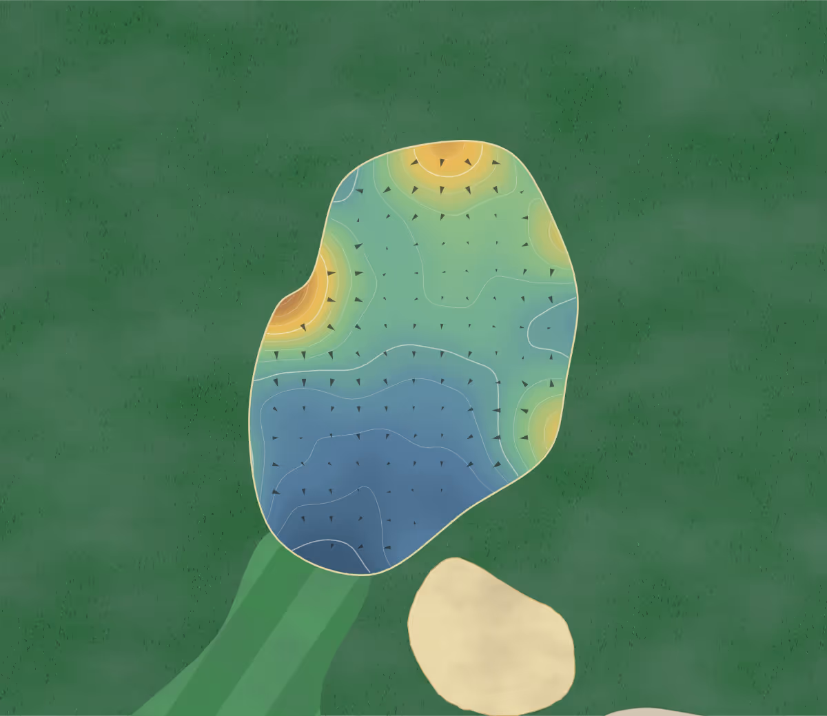 Green contour map of La Presqu'île in L'Assomption, Canada — 27 elevation contours at a 8-centimeter interval with fall-line arrows, traced from 1-meter lidar