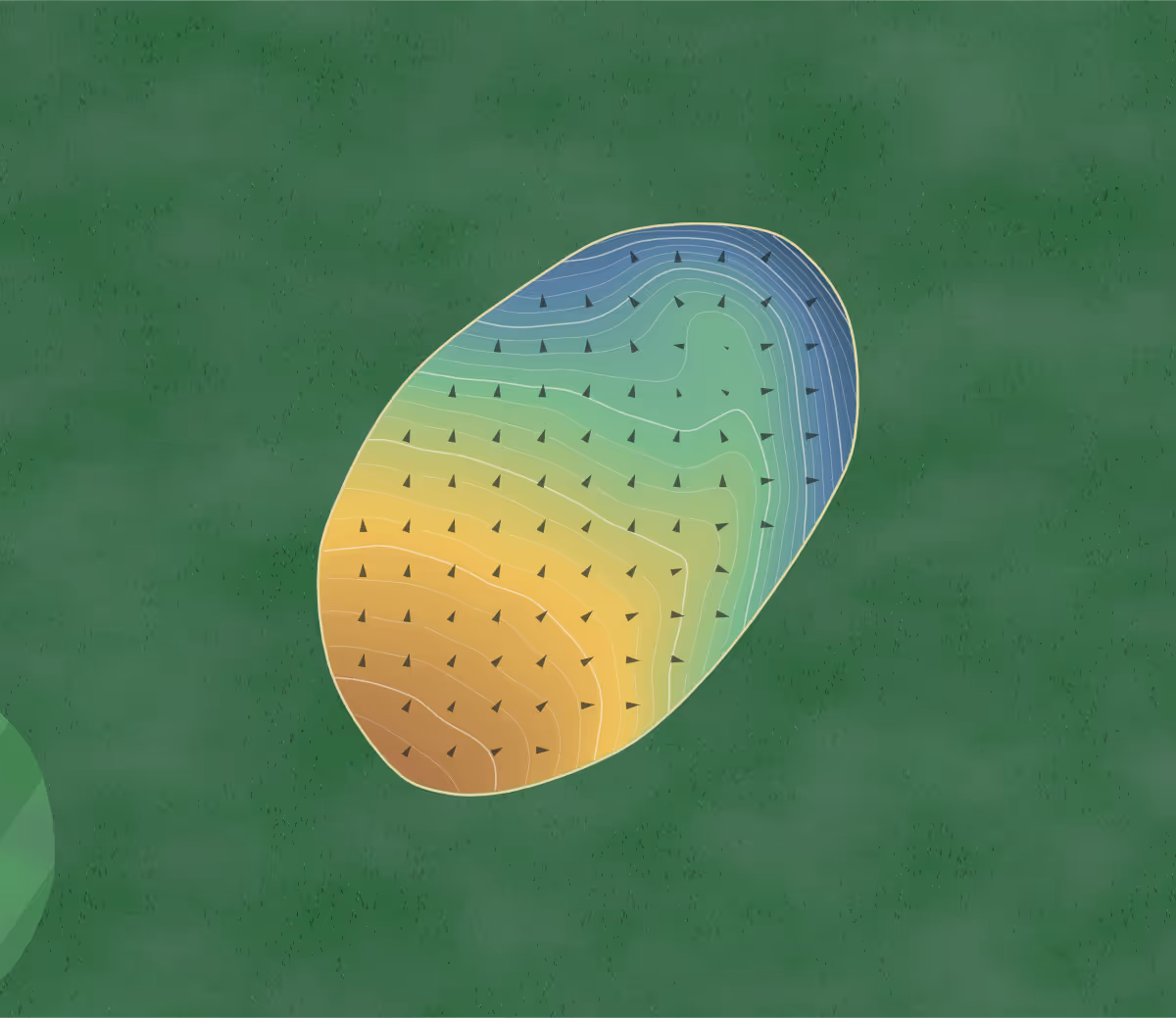 Green contour map of Lac Lyster in Coaticook, Canada: 181 elevation contours at a 8-centimeter interval with fall-line arrows, traced from 1-meter lidar