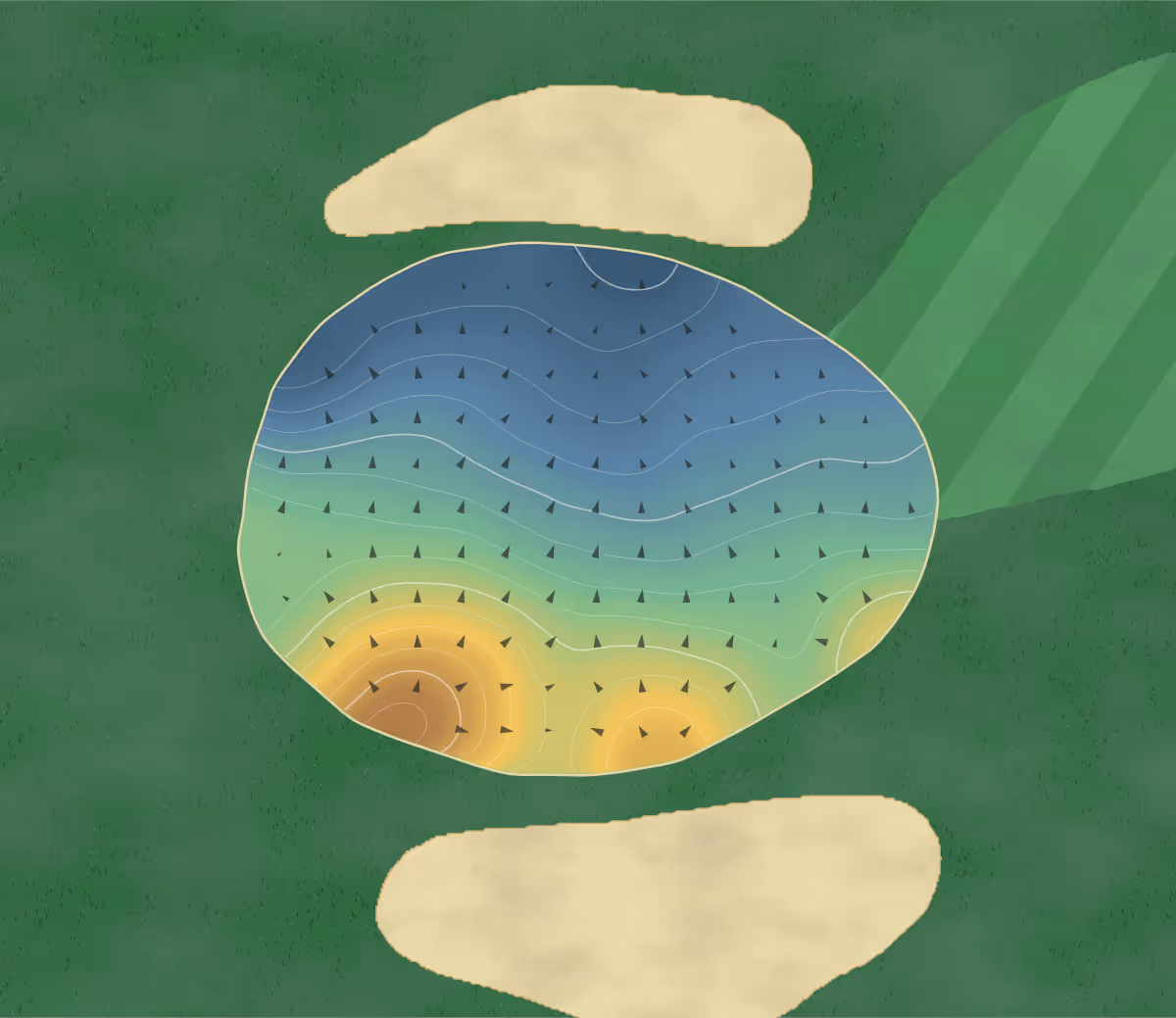 Green contour map of L'Empress in Rimouski, Canada: 166 elevation contours at a 8-centimeter interval with fall-line arrows, traced from 1-meter lidar