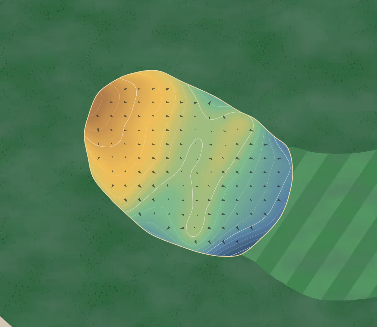 Green contour map of Métropolitain Anjou in Anjou, Canada — 101 elevation contours at a 8-centimeter interval with fall-line arrows, traced from 1-meter lidar