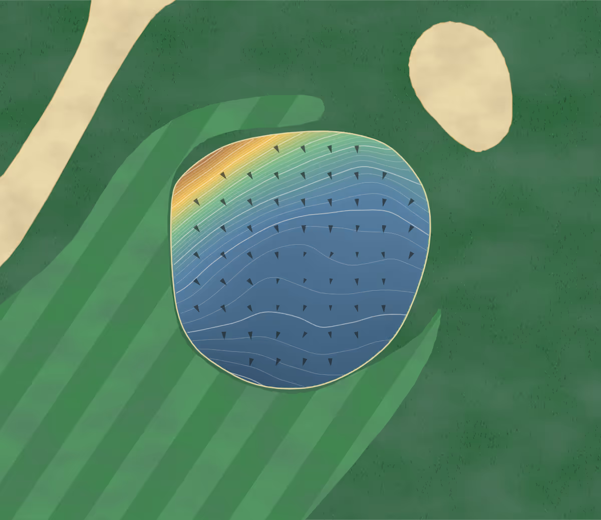 Green contour map of Pontefract in Fort-Coulonge, Canada: 119 elevation contours at a 8-centimeter interval with fall-line arrows, traced from 1-meter lidar