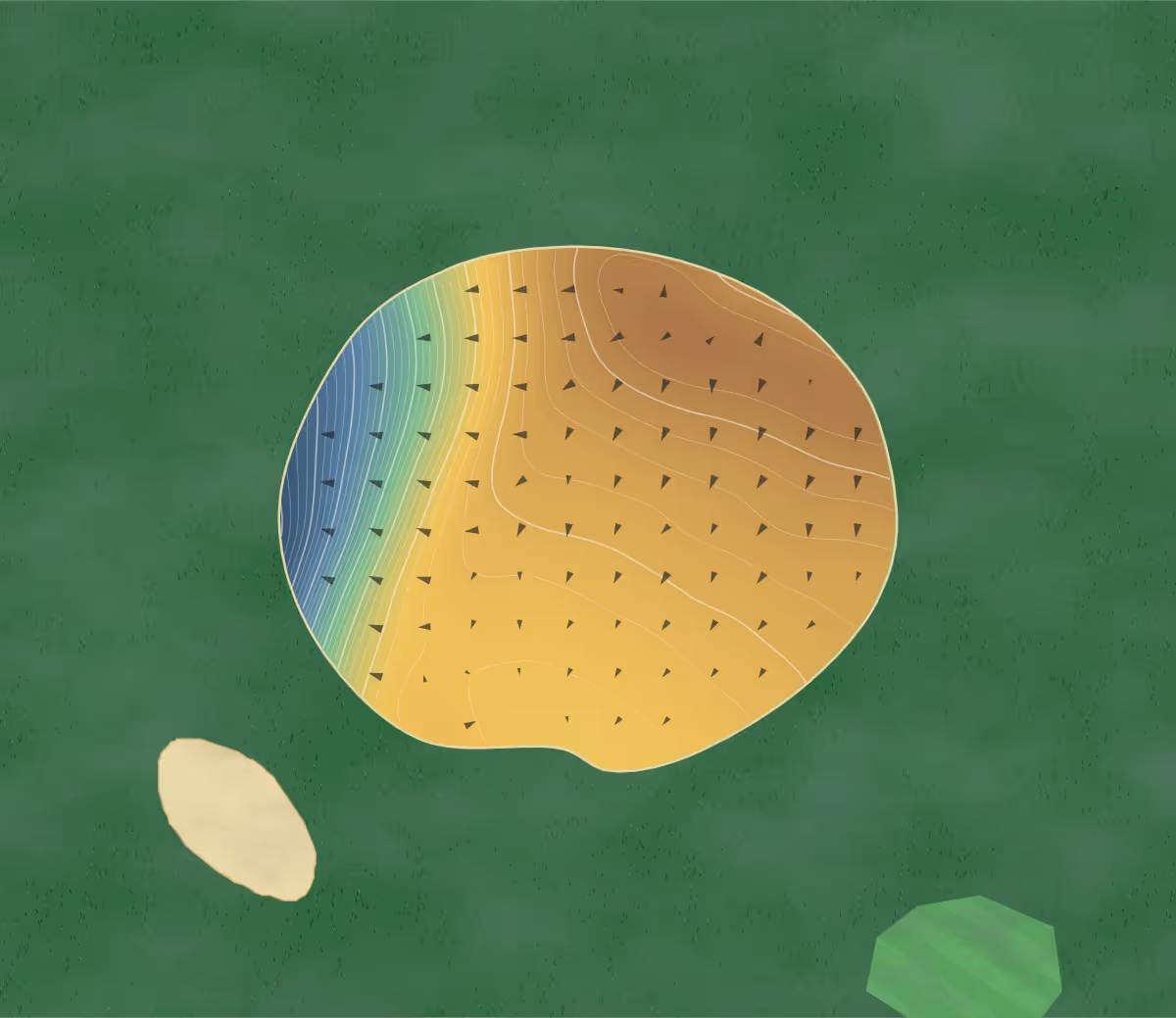 Green contour map of Murray Bay in La Malbaie, Canada: 204 elevation contours at a 8-centimeter interval with fall-line arrows, traced from 1-meter lidar