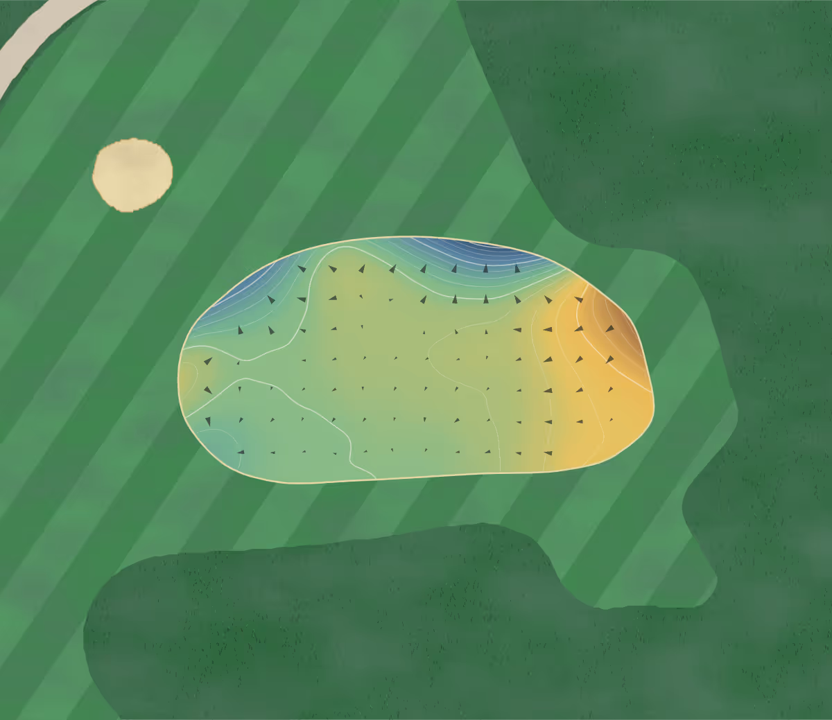 Green contour map of Porthmadog in Porthmadog, Wales — 165 elevation contours at a 8-centimeter interval with fall-line arrows, traced from 1-meter lidar