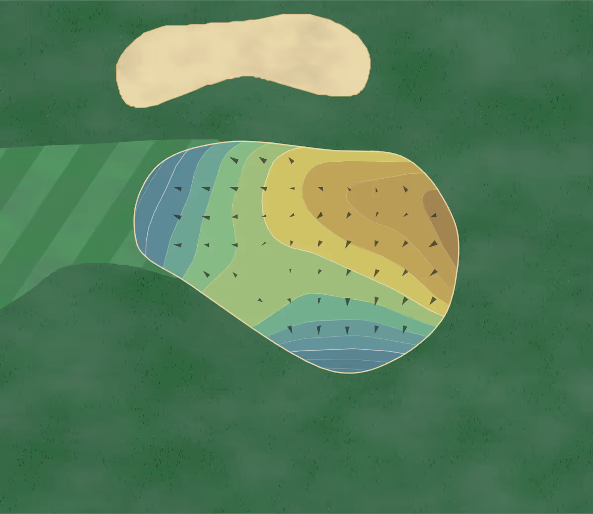 Green contour map of Coachman's in Edgerton, Wisconsin — 100 elevation contours at a 3-inch interval with fall-line arrows, traced from 1-meter lidar