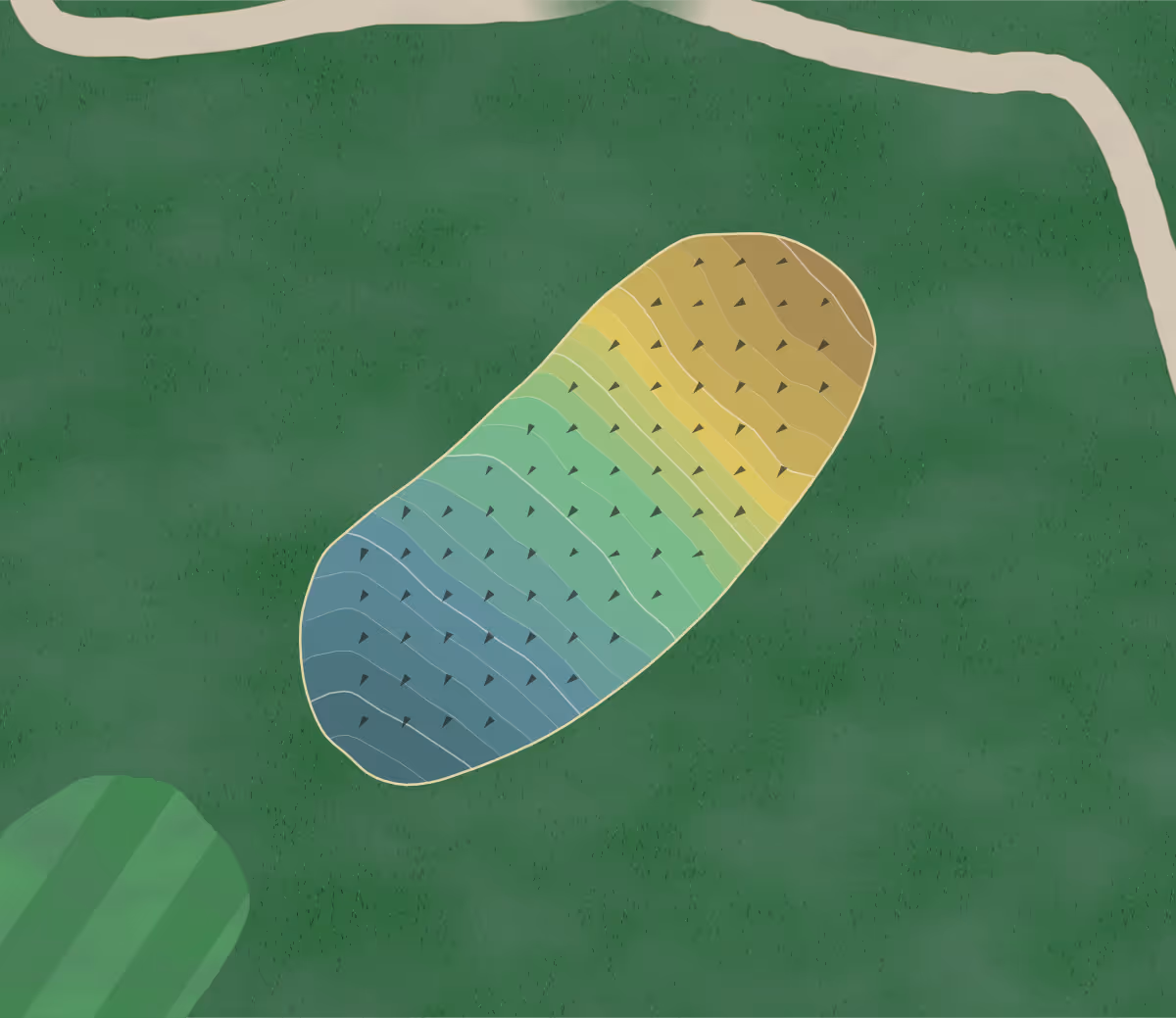 Green contour map of Cobtree Manor in Maidstone, England — 157 elevation contours at a 8-centimeter interval with fall-line arrows, traced from 1-meter lidar