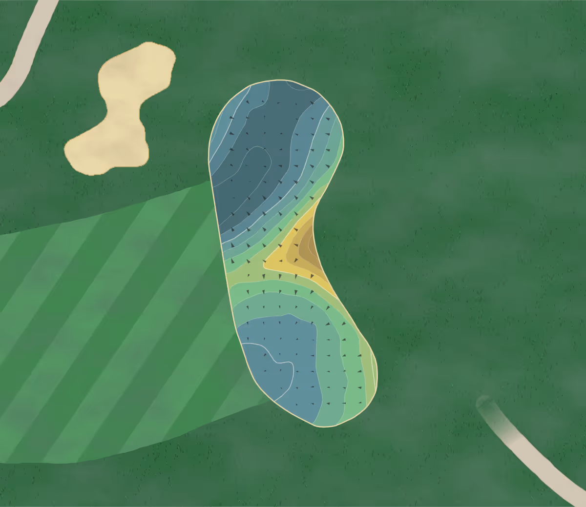 Green contour map of Cold Spring in Belchertown, Massachusetts — 165 elevation contours at a 3-inch interval with fall-line arrows, traced from 1-meter lidar