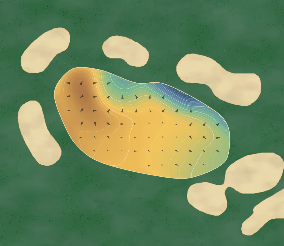 Green contour map of Collier's Reserve in Naples, Florida: 252 elevation contours at a 3-inch interval with fall-line arrows, traced from 1-meter lidar