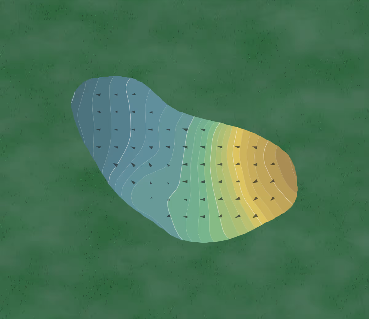 Green contour map of Colovista in Bastrop, Texas — 82 elevation contours at a 3-inch interval with fall-line arrows, traced from 1-meter lidar