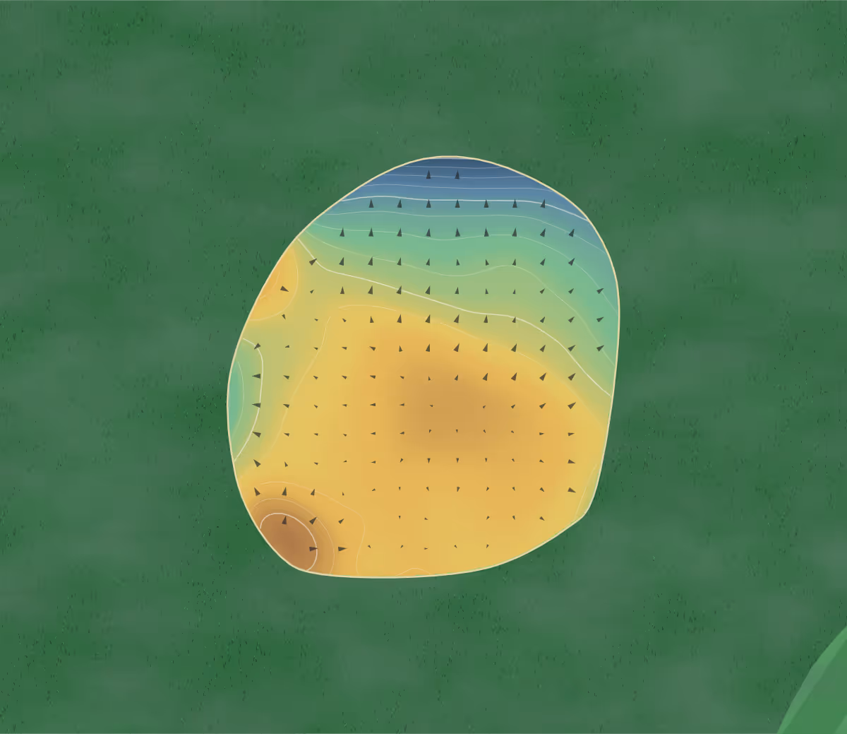 Green contour map of Comox Golf Club in Comox, Canada: 89 elevation contours at a 8-centimeter interval with fall-line arrows, traced from 1-meter lidar