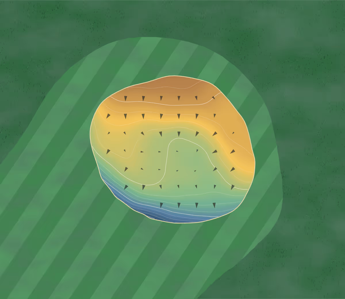 Green contour map of Coolamatong in Berridale, Australia — 128 elevation contours at a 8-centimeter interval with fall-line arrows, traced from 1-meter lidar
