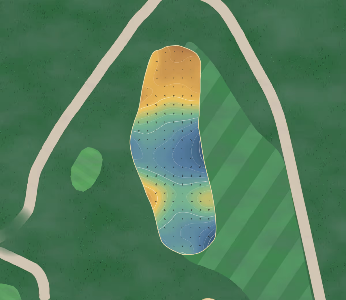 Green contour map of Copetown Woods in Copetown, Canada: 233 elevation contours at a 8-centimeter interval with fall-line arrows, traced from 1-meter lidar