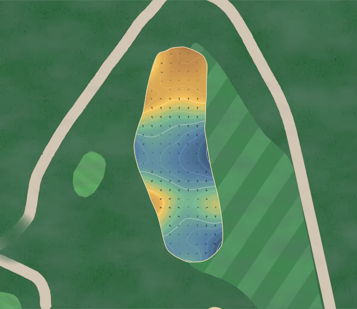 Green contour map of Copetown Woods in Copetown, Canada — 234 elevation contours at a 8-centimeter interval with fall-line arrows, traced from 1-meter lidar