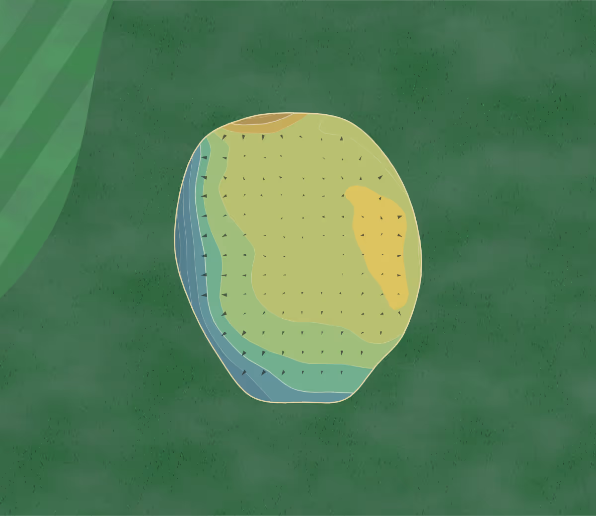 Green contour map of Copsewood Grange in Coventry, England — 57 elevation contours at a 8-centimeter interval with fall-line arrows, traced from 1-meter lidar