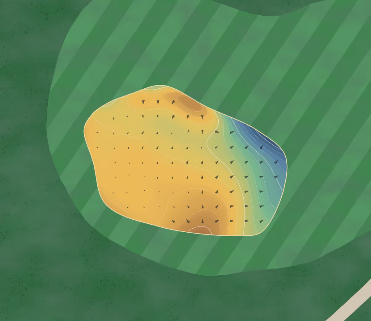 Green contour map of Copt Heath in Solihull, England — 71 elevation contours at a 8-centimeter interval with fall-line arrows, traced from 1-meter lidar