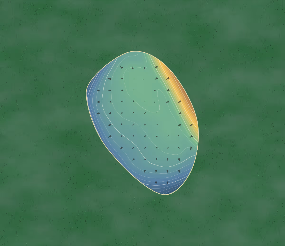 Green contour map of Coromandel in Coromandel, New Zealand — 114 elevation contours at a 8-centimeter interval with fall-line arrows, traced from 1-meter lidar