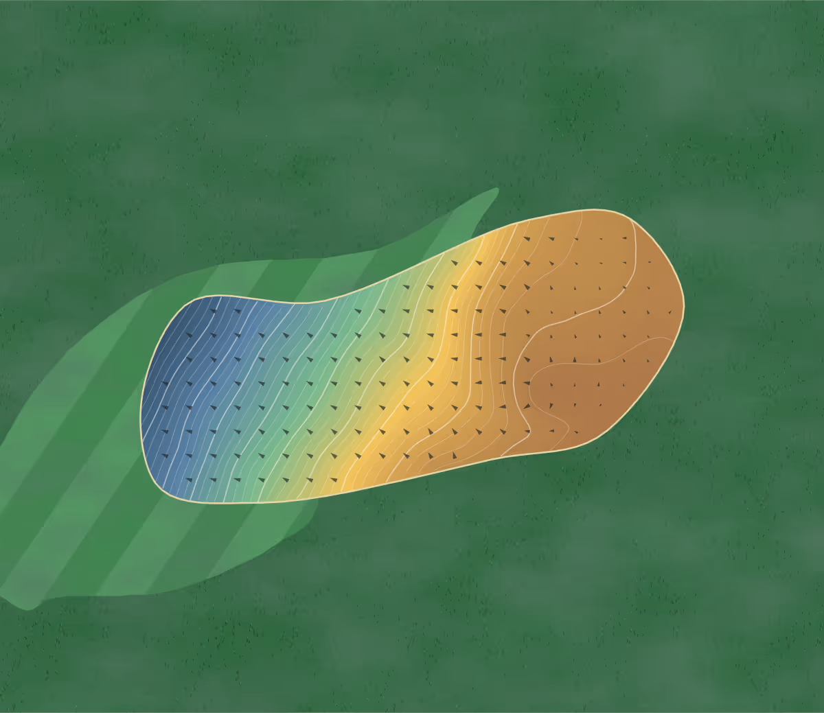 Green contour map of Cottesmore in Crawley, England: 38 elevation contours at a 8-centimeter interval with fall-line arrows, traced from 1-meter lidar
