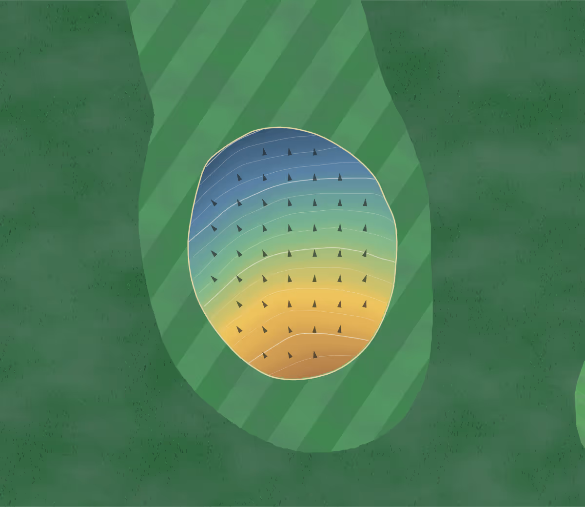 Green contour map of Cottonwood in Steele, North Dakota: 62 elevation contours at a 3-inch interval with fall-line arrows, traced from 1-meter lidar