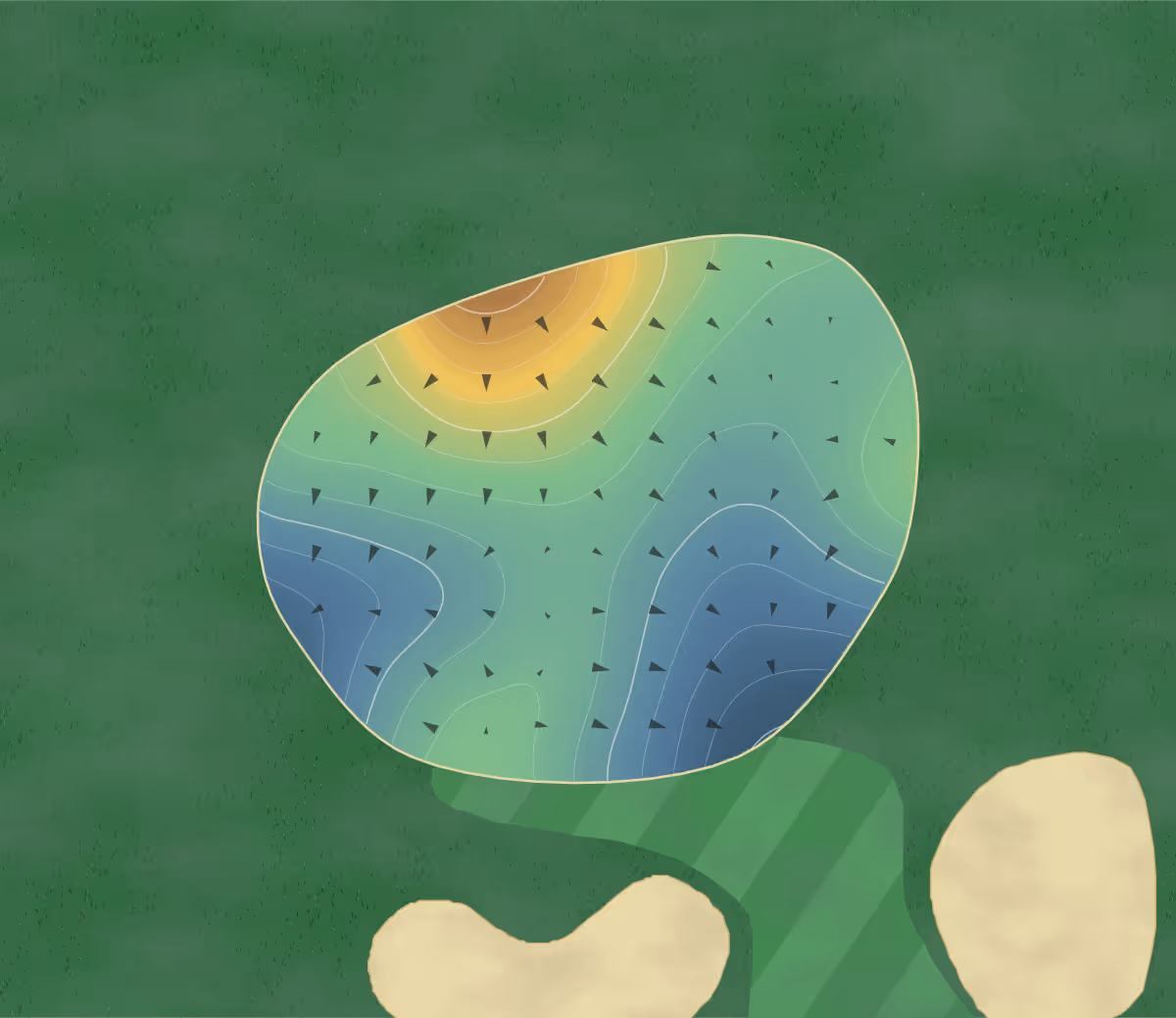 Green contour map of Cottonwood in Montgomery, Alabama: 165 elevation contours at a 3-inch interval with fall-line arrows, traced from 1-meter lidar