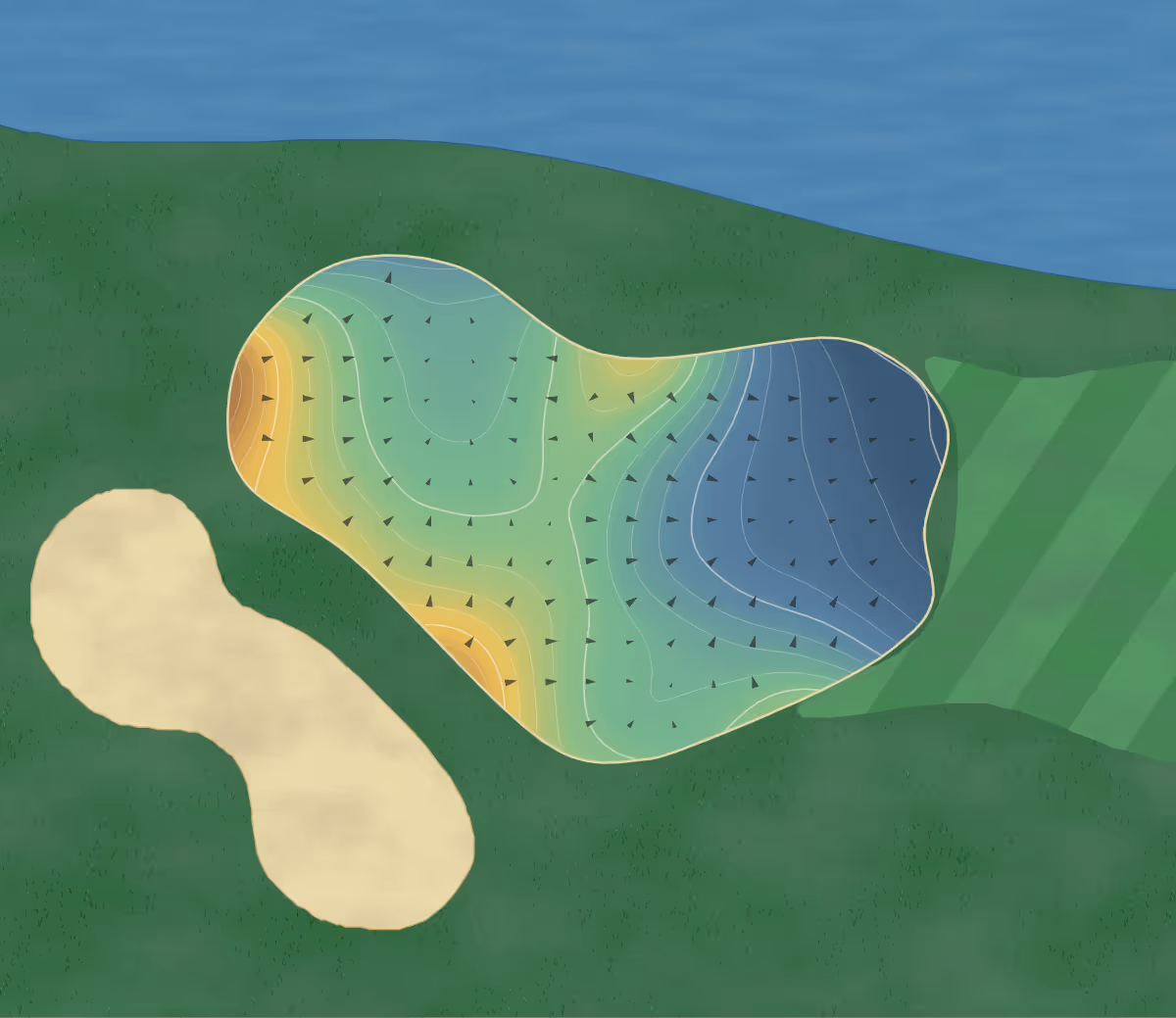 Green contour map of Cottonwood in Calgary, Canada: 217 elevation contours at a 8-centimeter interval with fall-line arrows, traced from 1-meter lidar