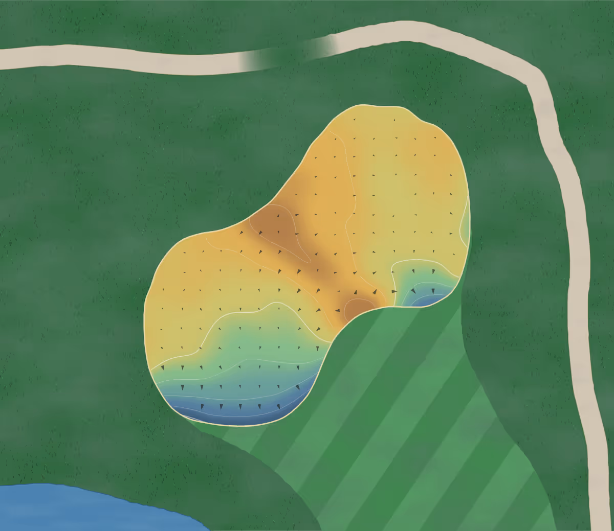 Green contour map of Cottonwood in Port Coquitlam, Canada — 124 elevation contours at a 8-centimeter interval with fall-line arrows, traced from 1-meter lidar