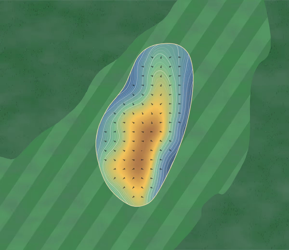 Green contour map of Cottonwood Hills in Hutchinson, Kansas: 170 elevation contours at a 3-inch interval with fall-line arrows, traced from 1-meter lidar