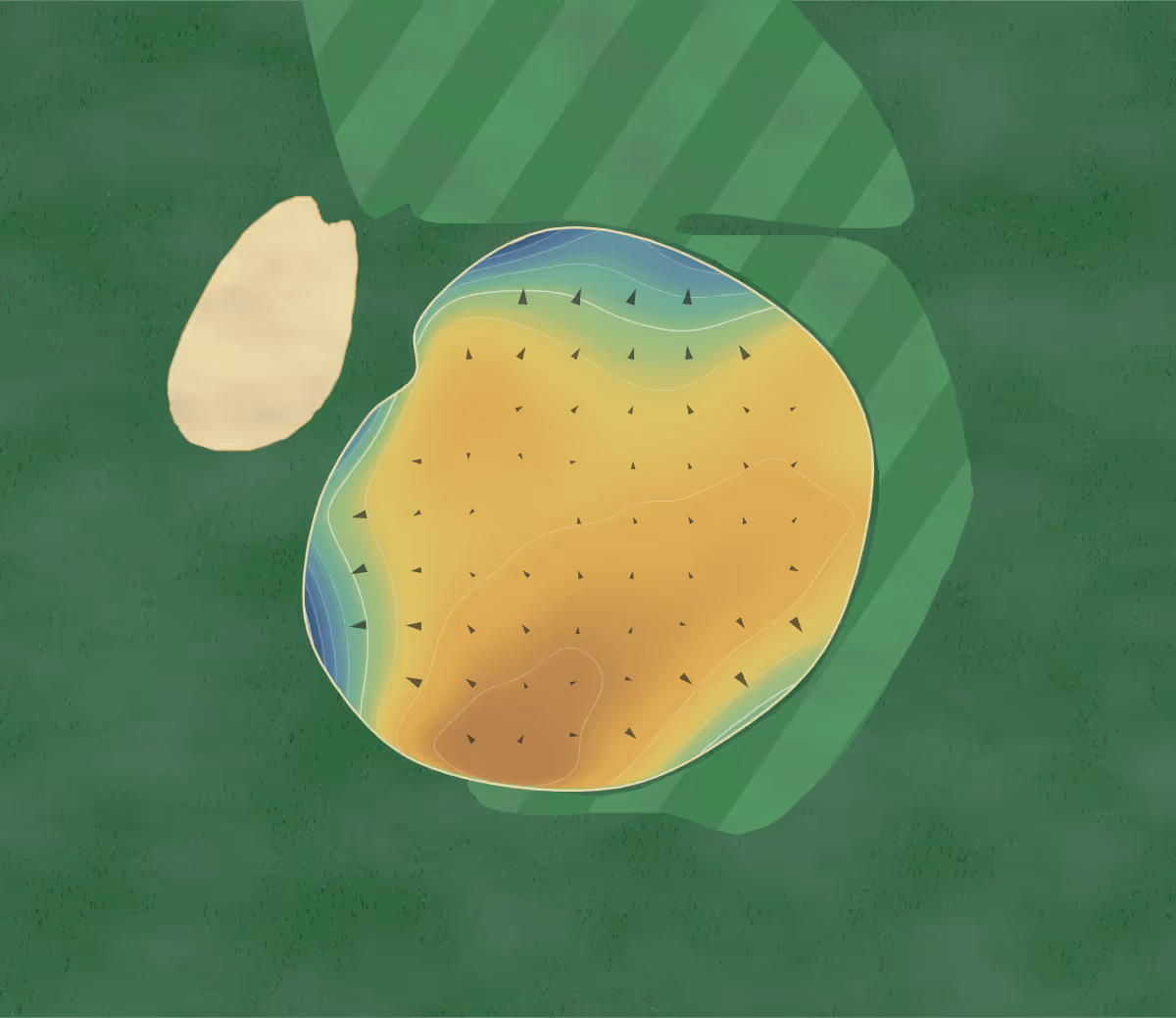 Green contour map of Columbus in Columbus, Georgia — 152 elevation contours at a 3-inch interval with fall-line arrows, traced from 1-meter lidar