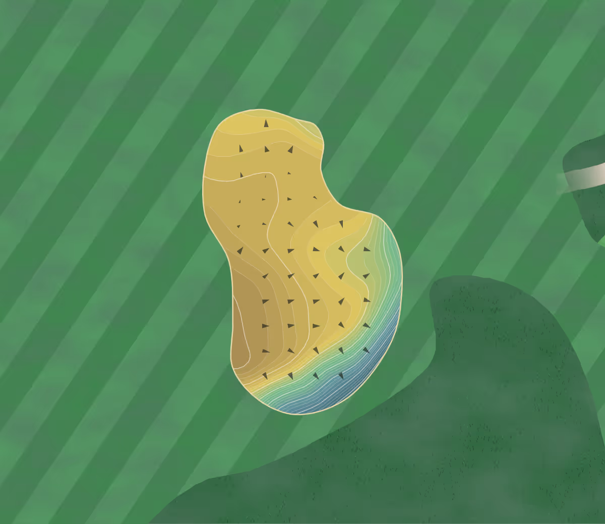 Green contour map of Course Sewanee in Sewanee, Tennessee — 199 elevation contours at a 3-inch interval with fall-line arrows, traced from 1-meter lidar