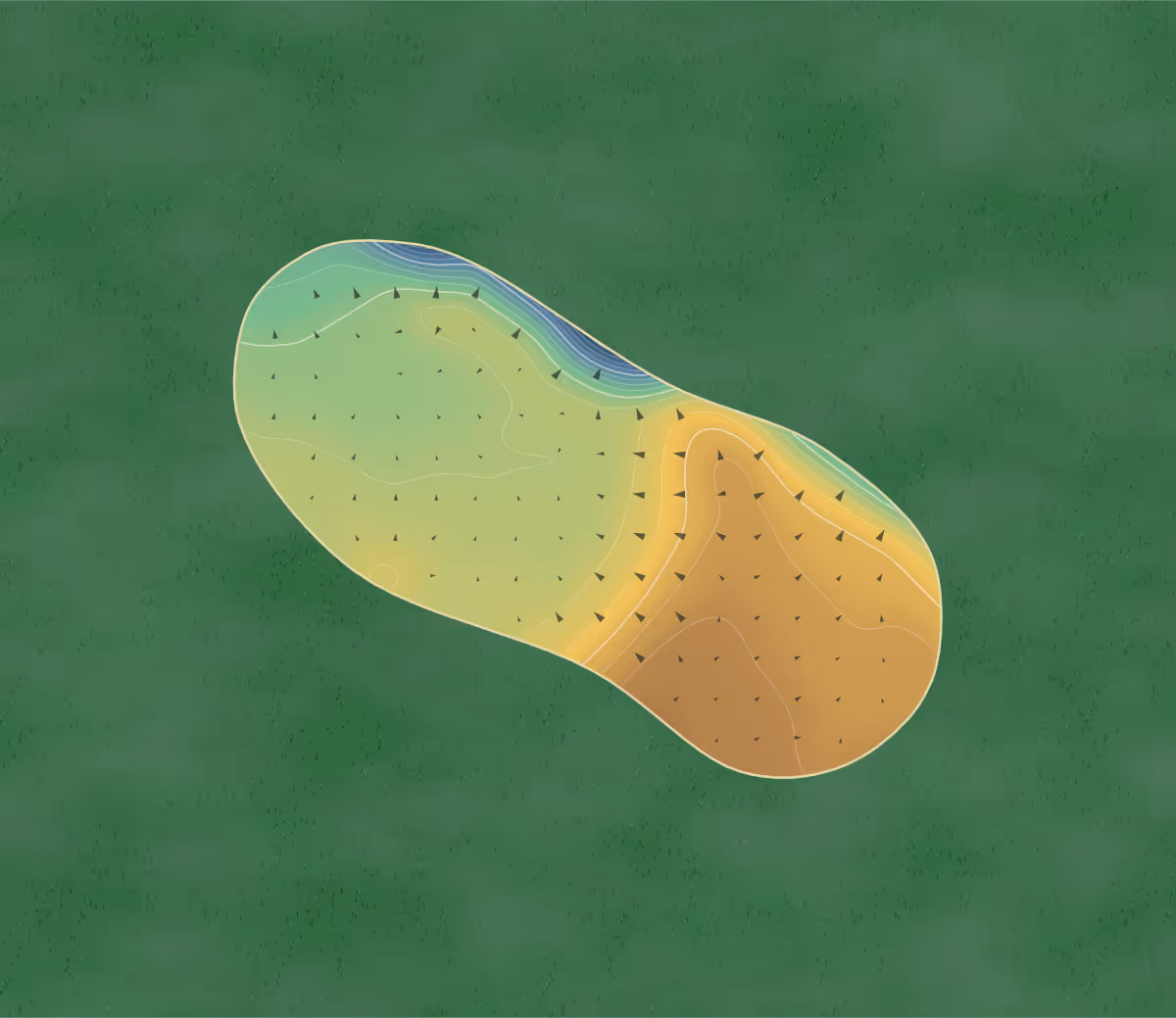 Green contour map of Coventry in Coventry, England: 185 elevation contours at a 8-centimeter interval with fall-line arrows, traced from 1-meter lidar