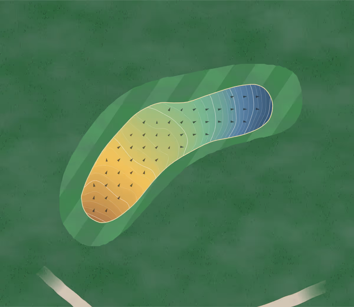 Green contour map of Covesea Links in Elgin, Scotland: 123 elevation contours at a 8-centimeter interval with fall-line arrows, traced from 1-meter lidar