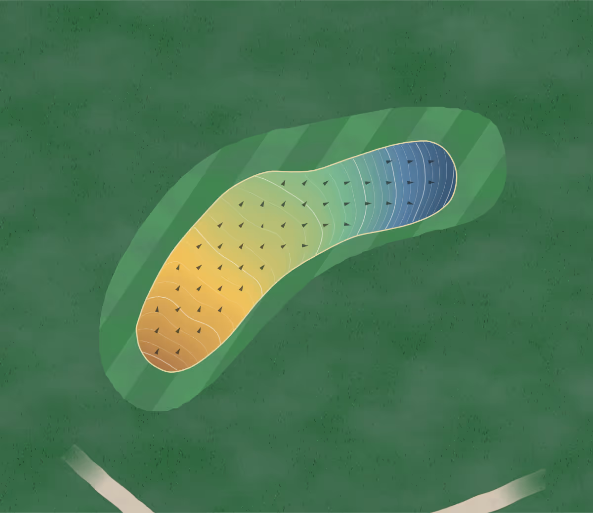 Green contour map of Covesea Links in Scotland, Scotland — 121 elevation contours at a 8-centimeter interval with fall-line arrows, traced from 1-meter lidar